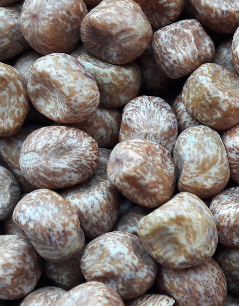 brown-peas Brown peas, organic plant protein