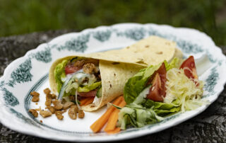 Kebab Wrap with Plant Mate and Salad