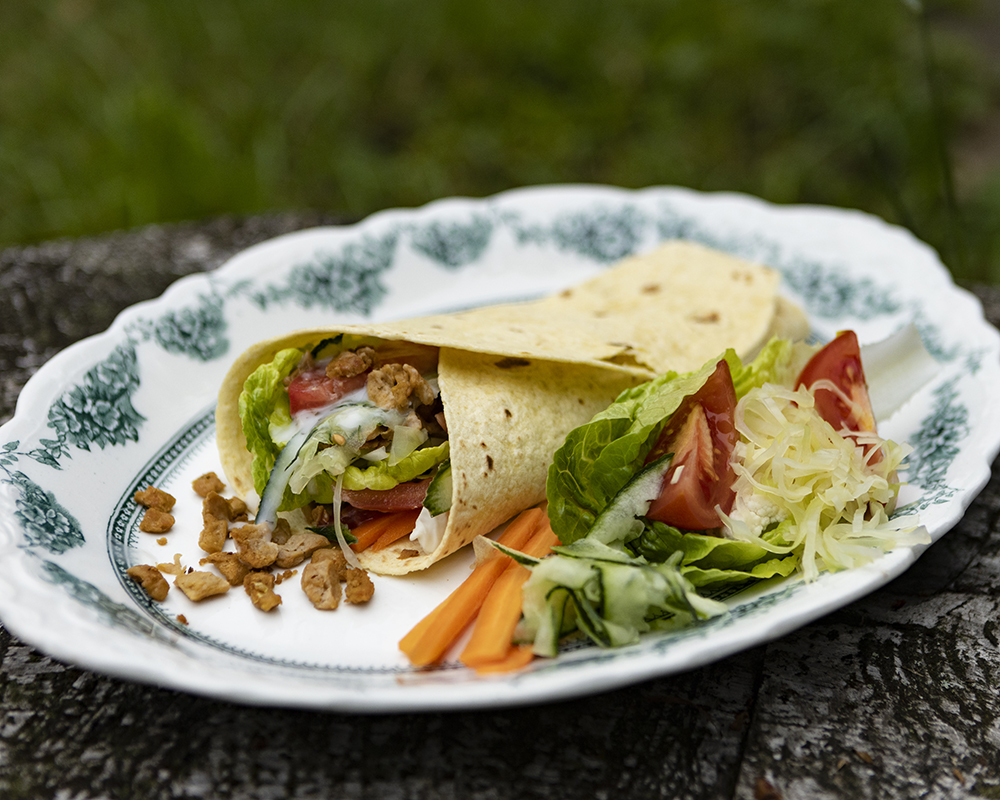 Kebab Wrap with Plant Mate and Salad