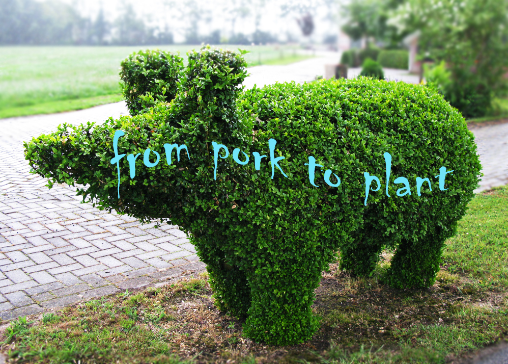 Fra svinekød til planter